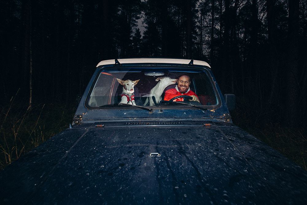 Jari Ruokonen with his dogs in a car