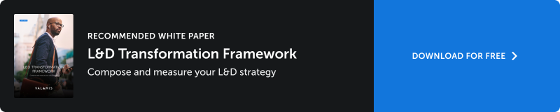 The banner for L&D Framework Workbook
