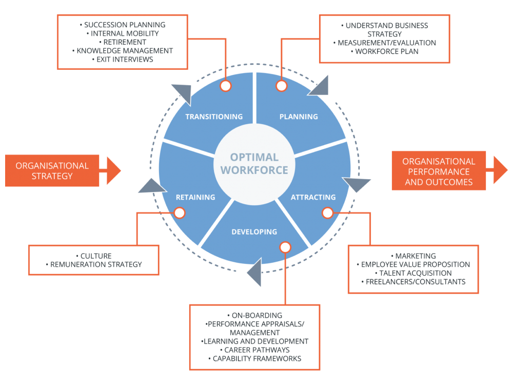 Talent Management Model displayed as a circle with its main stages: planning, attracting, developing, retaining, and transitioning of employees.