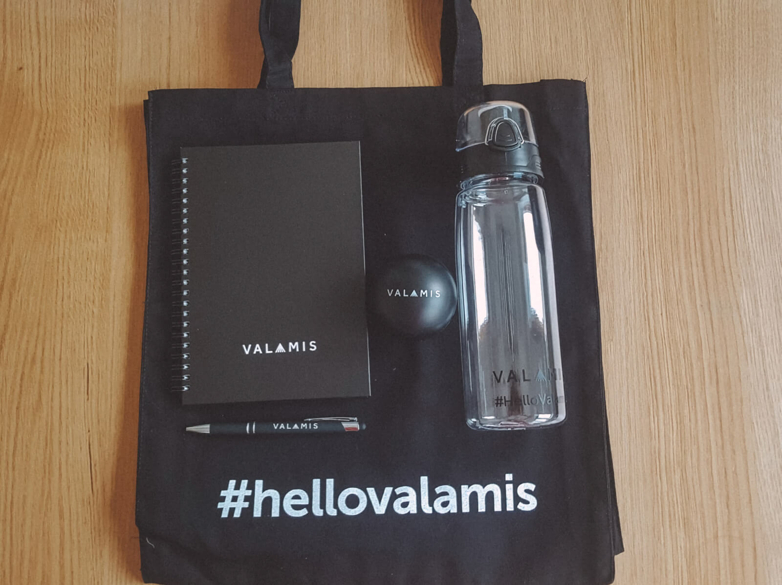 Valamis welcome package: bag, stress ball, bottle, notebook.