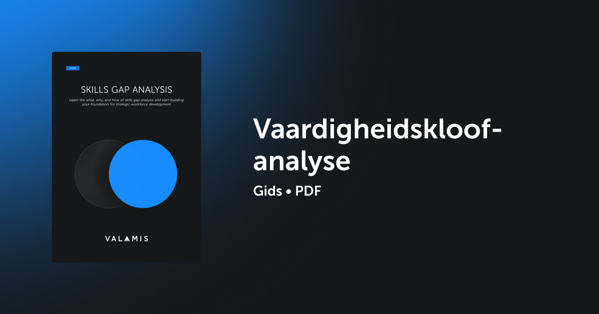 Vaardigheidskloof-analyse Gids