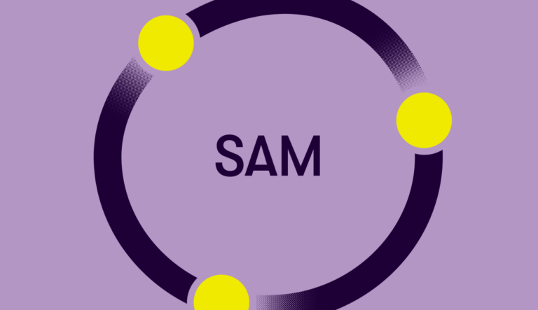 SAM model icon